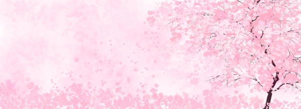 唯美三八女神节粉色樱花树浪漫樱花背景
