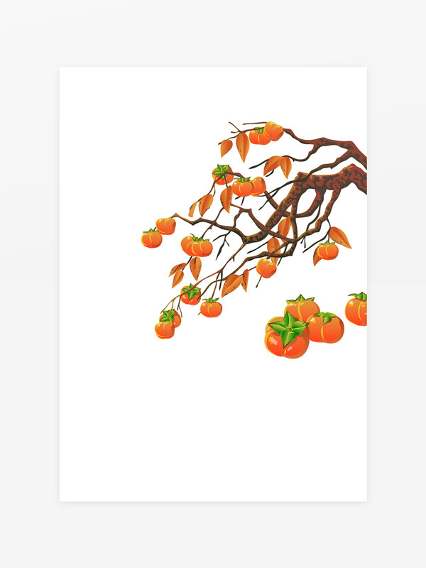 柿子插画图片