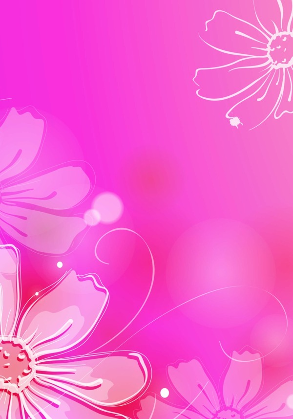 粉色花卉背景模板