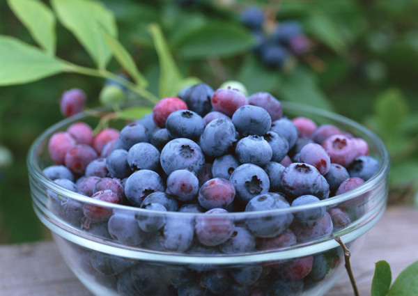 一碗新鲜的蓝莓