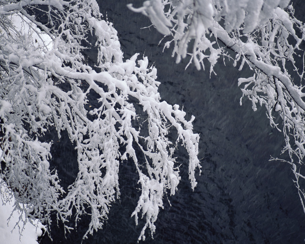 冬天雪景雪景大雪