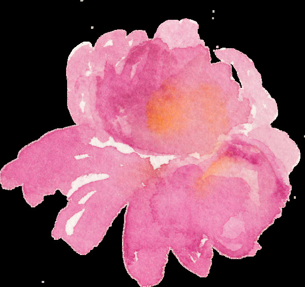 芍药牡丹粉红玫红花朵图片
