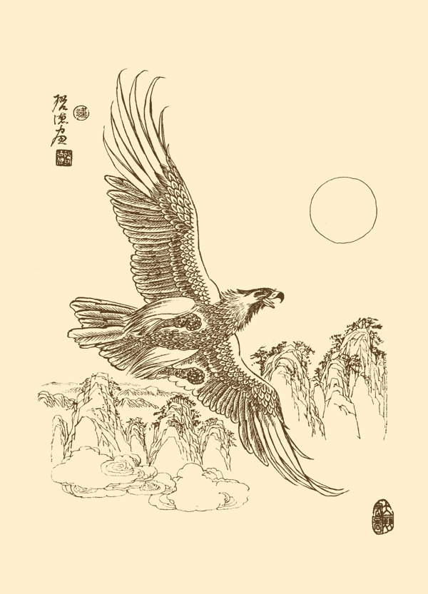 白描鹰图片