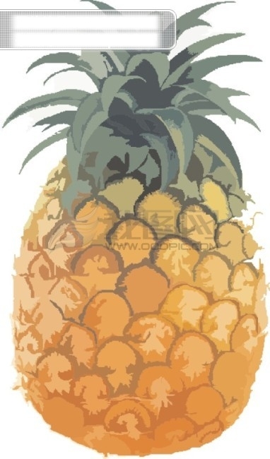菠萝图片水果