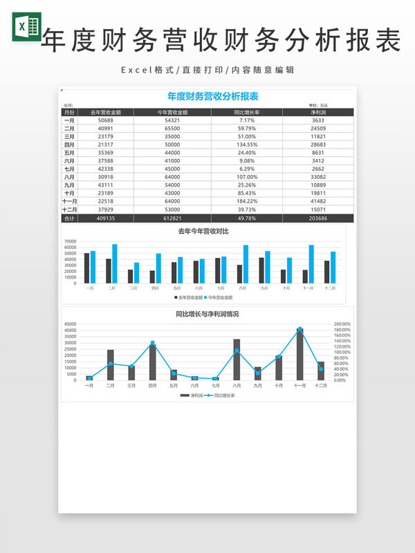 年度财务营收财务分析报表