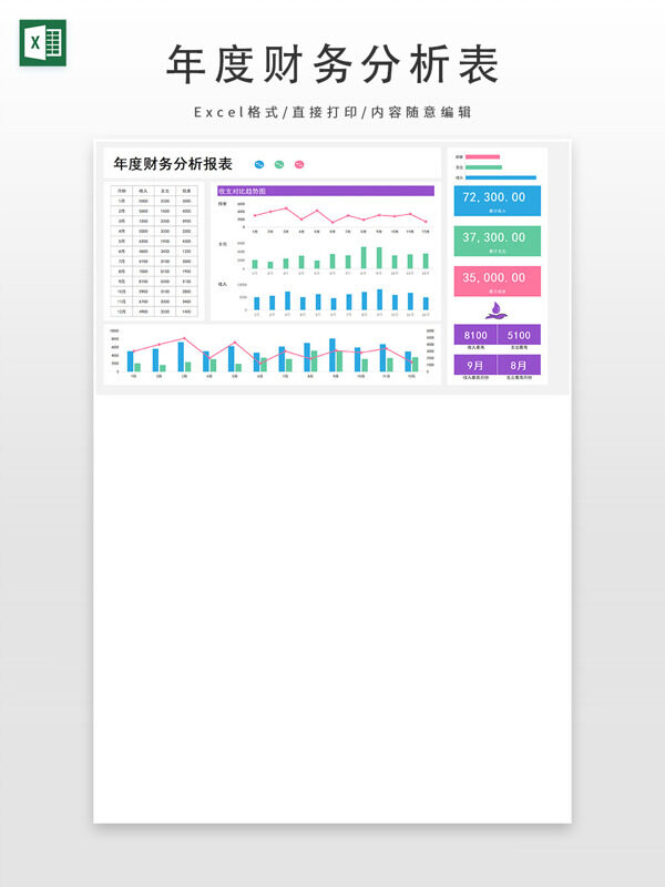 年度财务分析报表